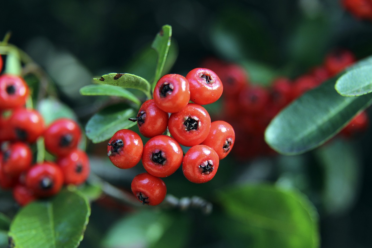 外体育赛事 外体育赛事