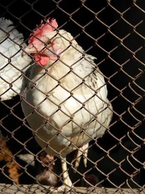 对策与建议 对策与建议