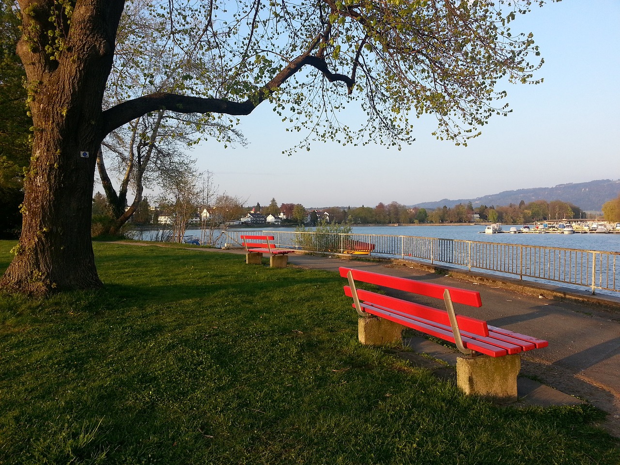 我们更加理 我们更加理